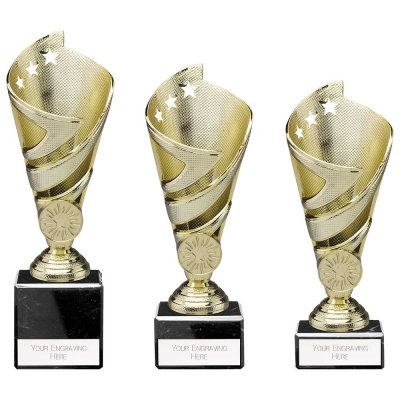 hurricane gold star cup award