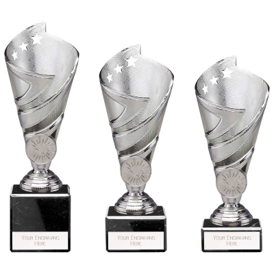 hurricane silver star cup award