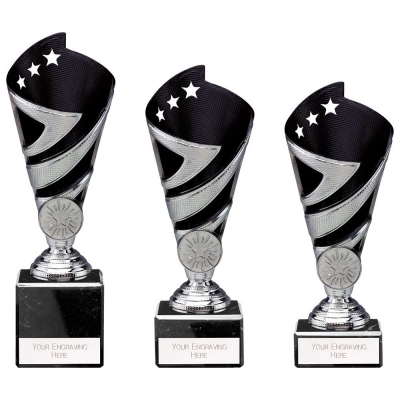 hurricane silver/black star cup award