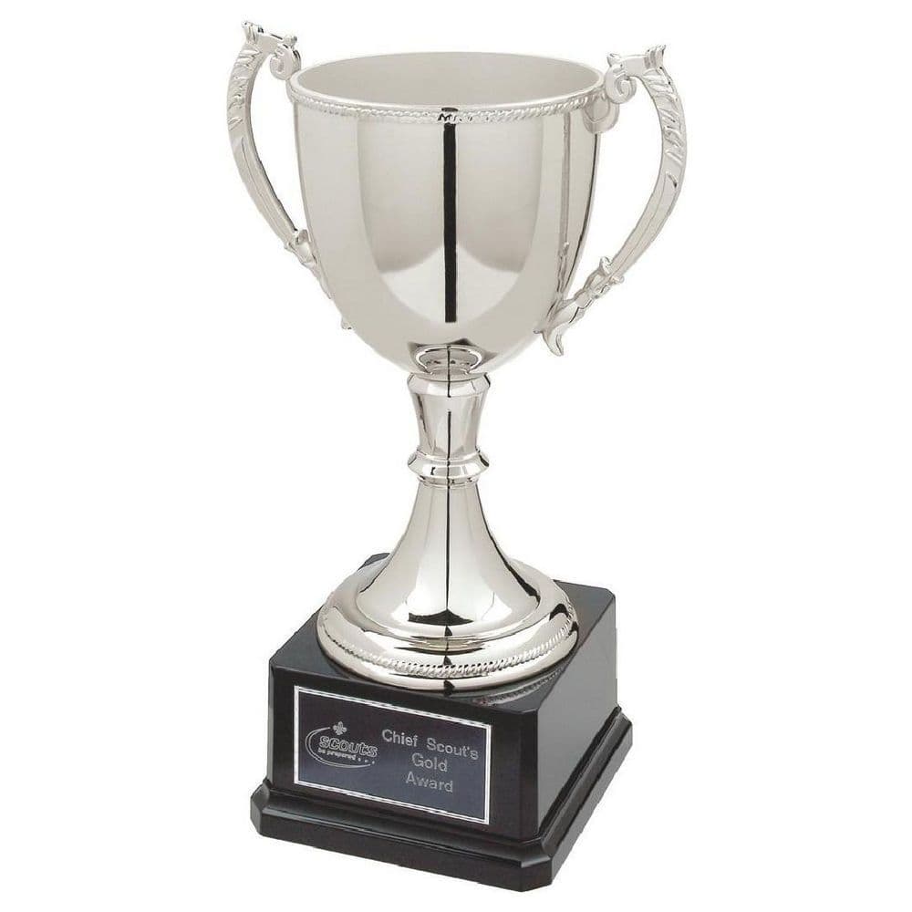NICKEL PLATED CUP WITH FREE PLATE ENGRAVING