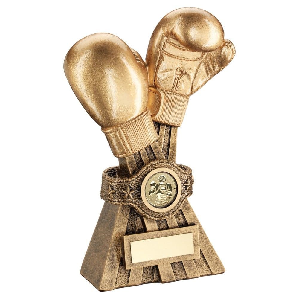 Boxing & Martial Arts Trophies